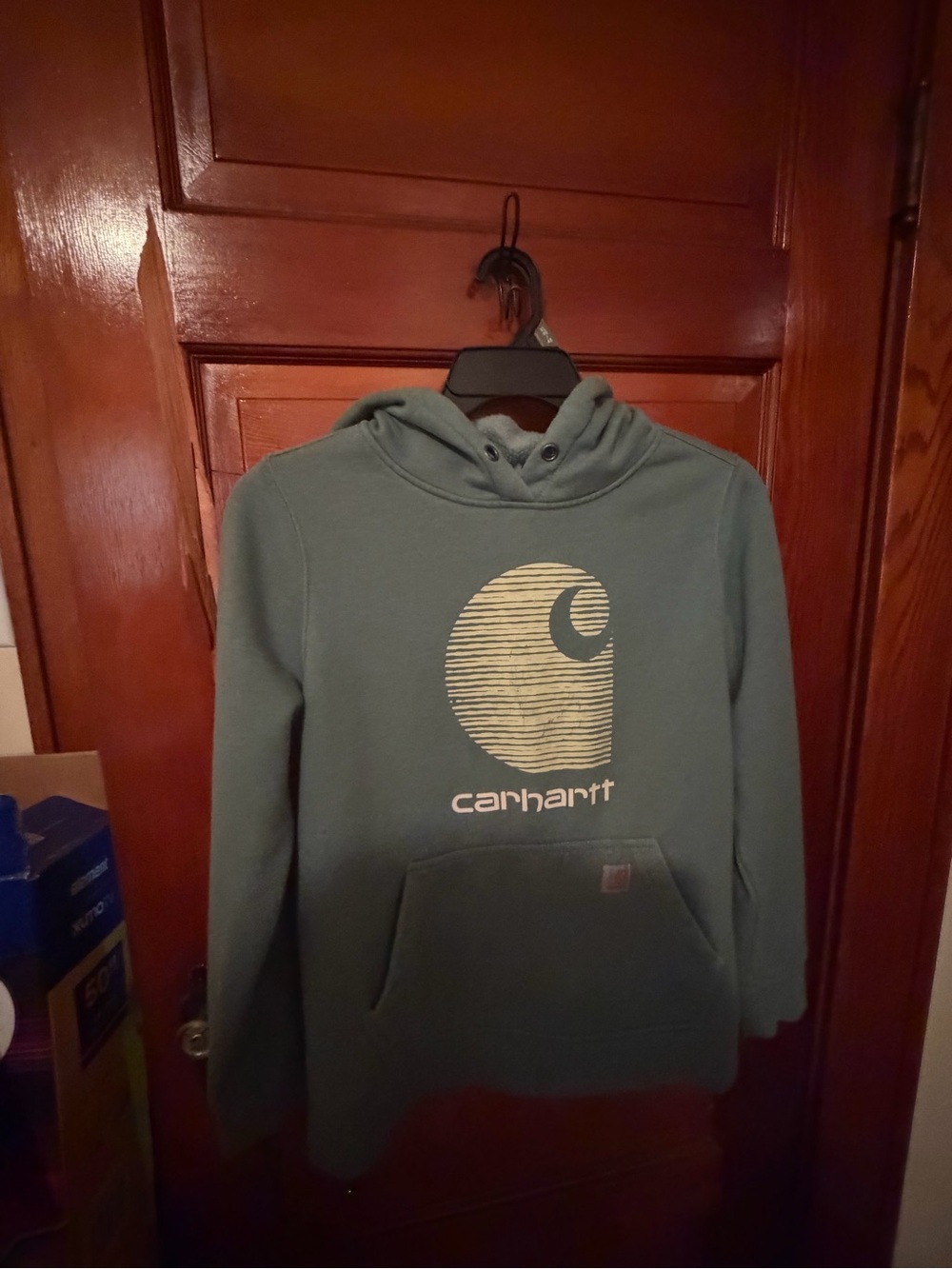 Carhartt Men's Teal Pullover Hoodie with Logo